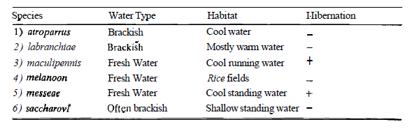 2021_Ecological Approach in Taxonomy.png